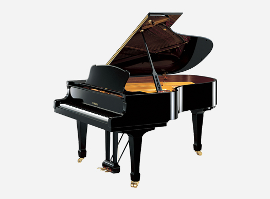 济宁xk体育琴行 济宁xk体育琴行